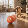 Orange Zoom ball rolling by itself as a dog chases it