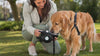 Golden retriever drinking from the Trek leash's built-in bowl on a walk