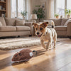 Small dog chasing the Scamper Wind-Up Chase Toy across the floor