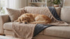 Ranger Waterproof Sherpa Dog Blanket — Golden Retriever on khaki blanket