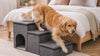 Golden Retriever climbing the Nook dog stairs up to the bed