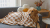 Meadow khaki chequered flannel dog blanket with a Golden Retriever