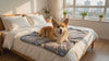 Corgi settling on a gray paw-print coral fleece dog blanket