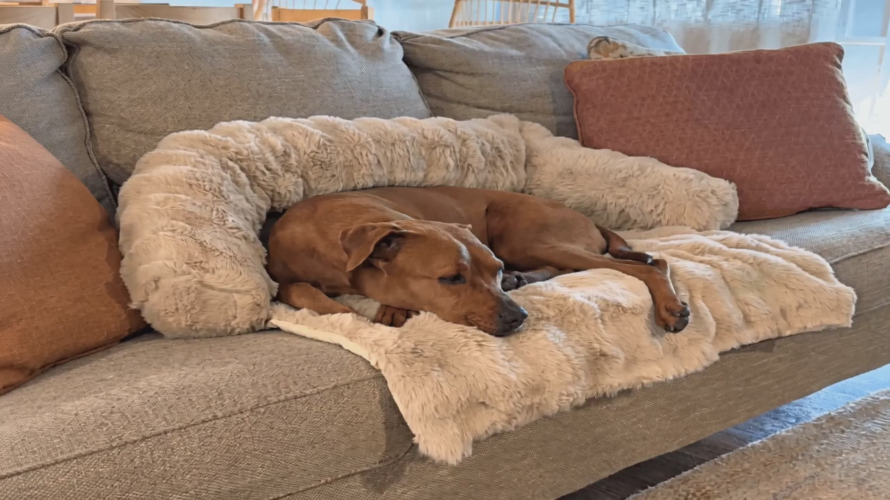Dog resting on the plush faux-fur sofa dog bed