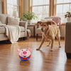 Bounce rolling dog ball moving on its own while a dog chases it around the room