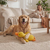 Dog playing with the Nuzzinel Quackers plush duck toy
