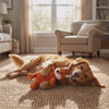 Dog playing with the Cordy corduroy fox squeaky dog toy