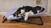 Cavalier sleeping peacefully as the Sway rocking dog bed gently rocks