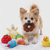 Chihuahua playing with a plush donut toy from the Picnic Puppy Plush Toy Set