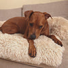 Dog resting on the Nuzzinel Teddy fluffy sofa dog bed