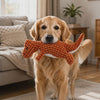 Golden retriever playing with the orange Rexy dinosaur squeaky dog toy