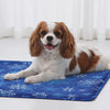 Cavalier relaxing on the Frost blue snowflake gel cooling mat