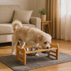 Dog eating from the Perch elevated bamboo dog feeder