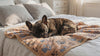 French Bulldog settling on a pink paw-print coral fleece dog blanket