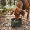 Dog drinking from the green Nuzzinel Pebble travel bowl on a sunny trail