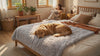 Willow Light Gray calming plush dog blanket with a Golden Retriever resting