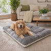 Golden retriever settling on the Cloud plush dog bed