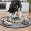 Husky foraging for treats in the Truffle snuffle dog mat