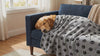 Golden Retriever resting on the Cuddle gray paw-print dog blanket