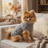 Small dog relaxing in a grey Heather Knit Dog Sweater