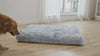 Dog settling down to rest on the flat Nook calming dog bed