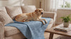 Labrador resting on the blue Shield waterproof dog blanket