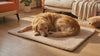 Toffee beige self-warming dog mat with a Golden Retriever