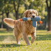 A dog playing with the Waddles goose dog toy