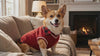 Corgi in a red cable-knit dog sweater vest relaxing by a fireplace