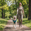 Dog walking happily in the teal Nuzzinel Ivy no-pull harness