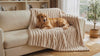 Sable Faux Rabbit Fur Plush Throw — Golden Retriever resting on beige throw