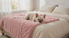 French Bulldog settling on a pink faux-fur dog blanket
