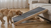 Dog walking up the Amble folding dog ramp onto the sofa