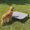Dog stepping onto the Perch elevated cooling dog bed and settling to rest