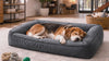 A dog settling into the Dozer Orthopedic Bolster Dog Bed