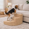 Beagle climbing the Summit orthopedic dog stairs to the couch