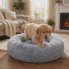 Dog stepping into the Nuzzinel Snooze calming donut dog bed and settling down to rest