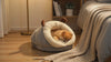 Pomeranian puppy sleeping in the gray Loafer slipper dog bed