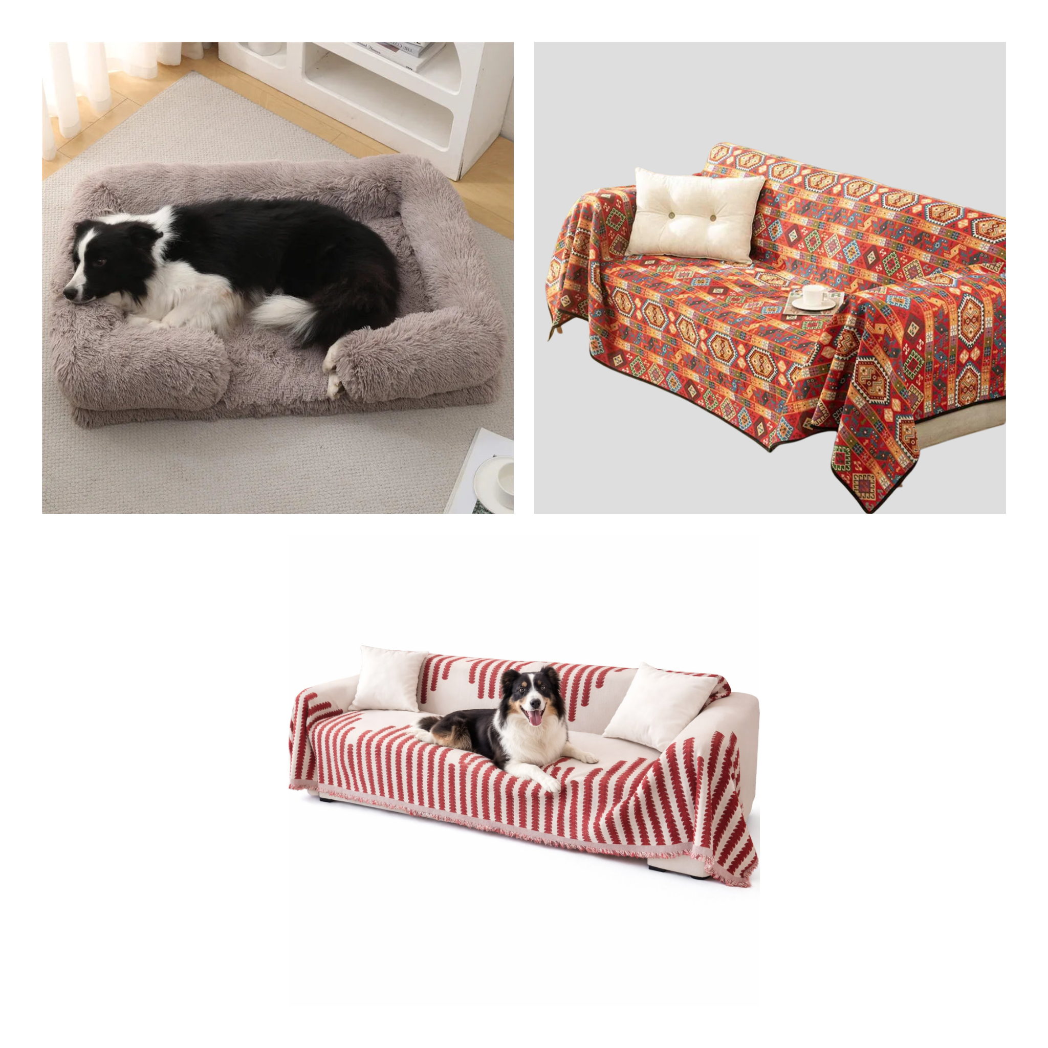 Senior Dog Bundle — all 3 items