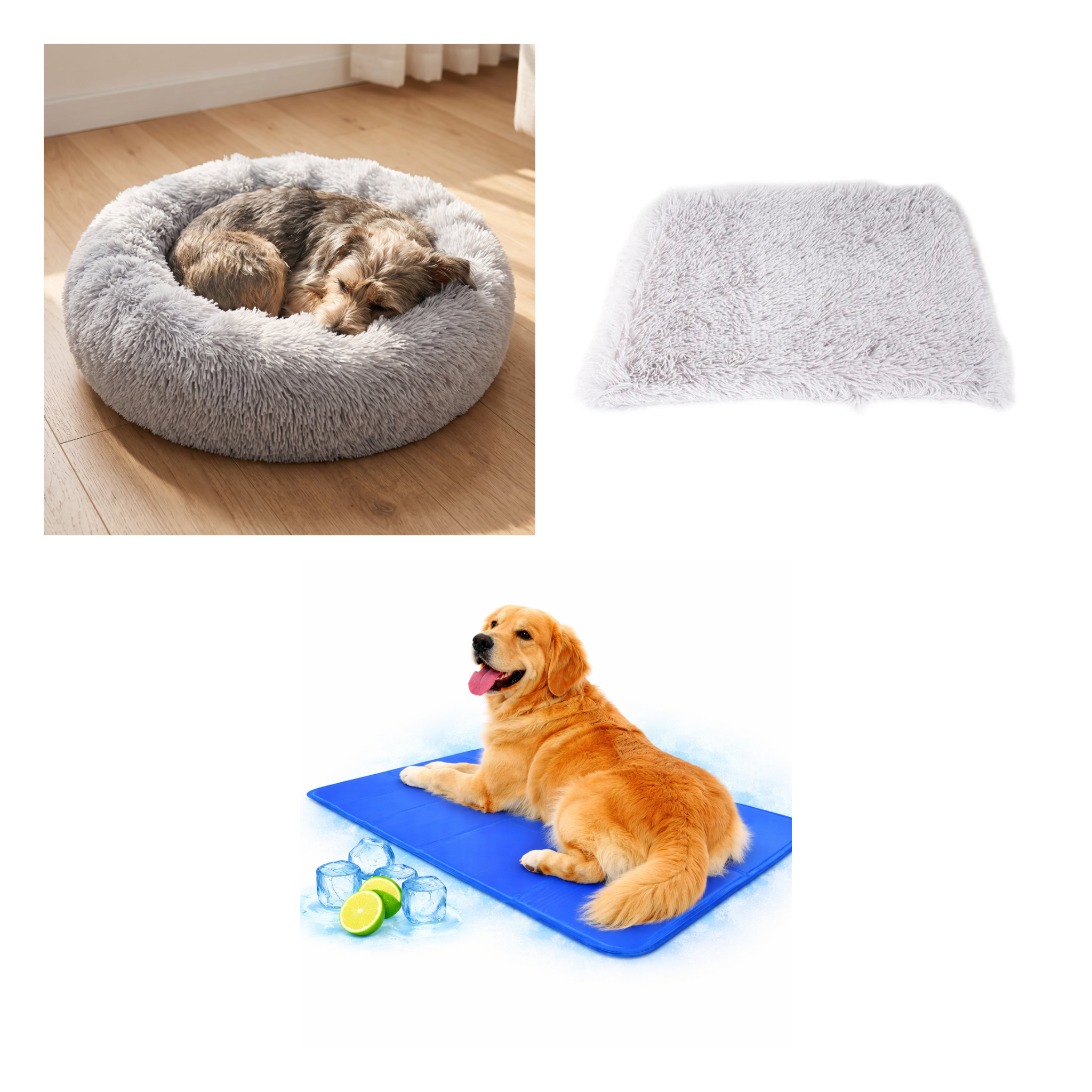 Senior Dog Bundle — all 3 items