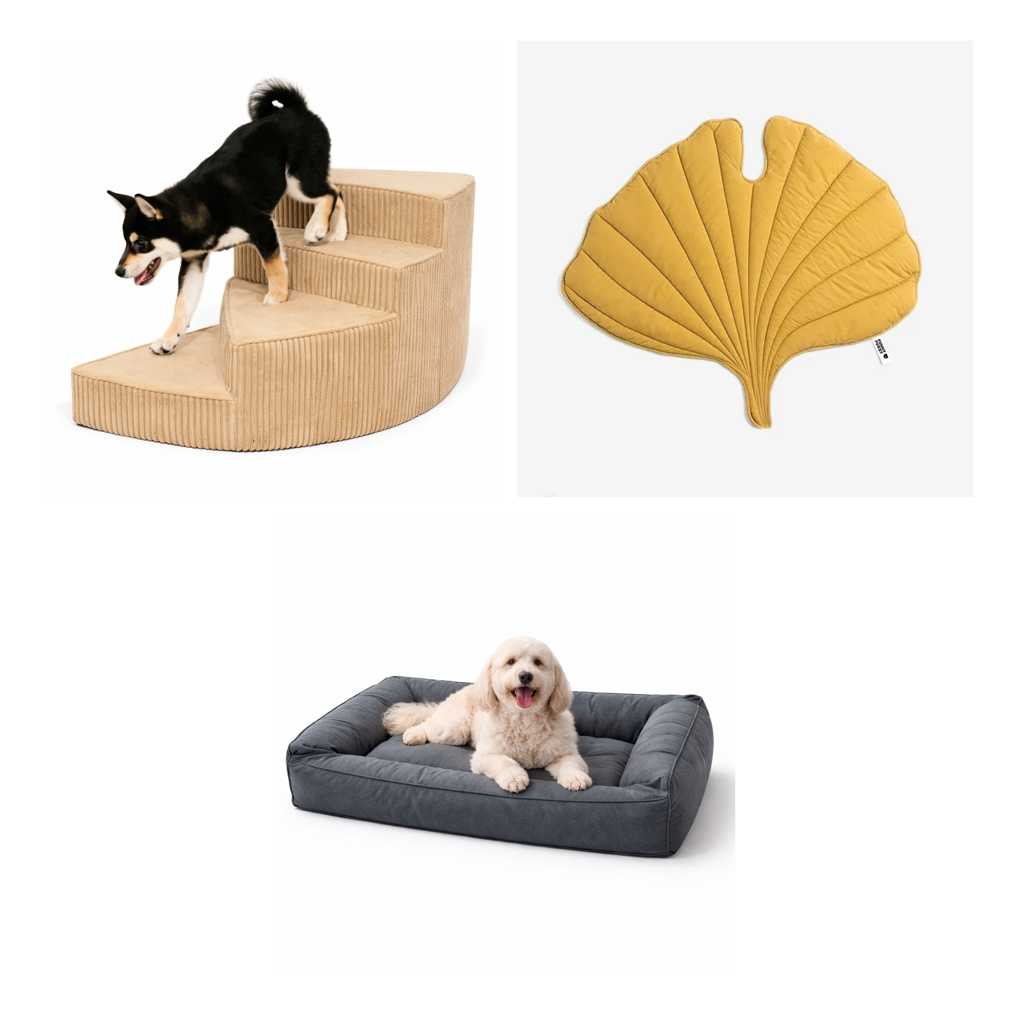 Senior Dog Bundle — all 3 items