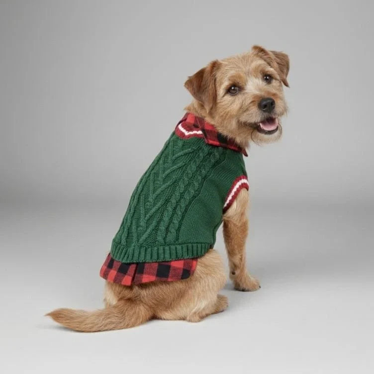 Small dog wearing a green cable-knit dog sweater vest with a buffalo-plaid collar
