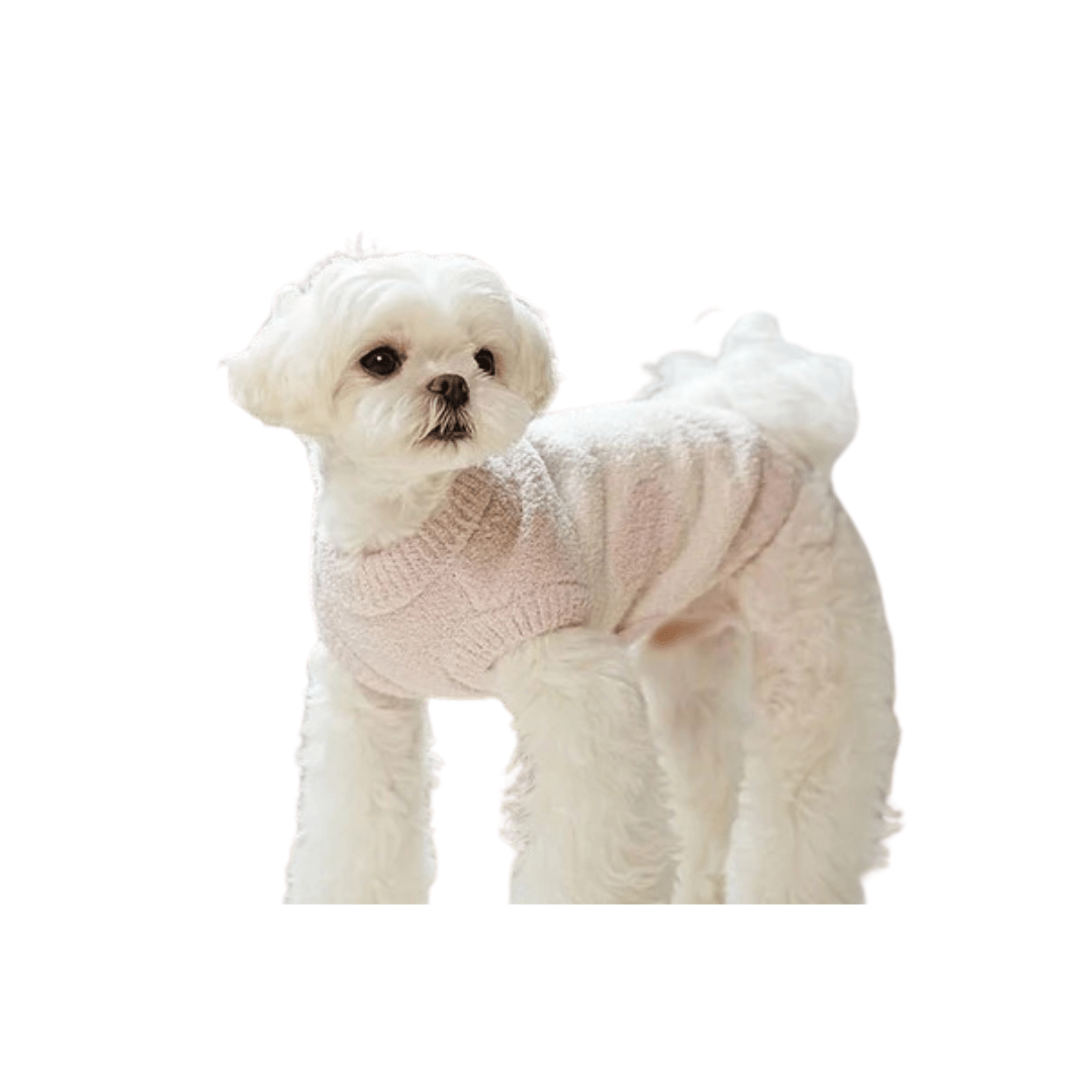 White fleece dog sweater with ruffled collar on a small dog