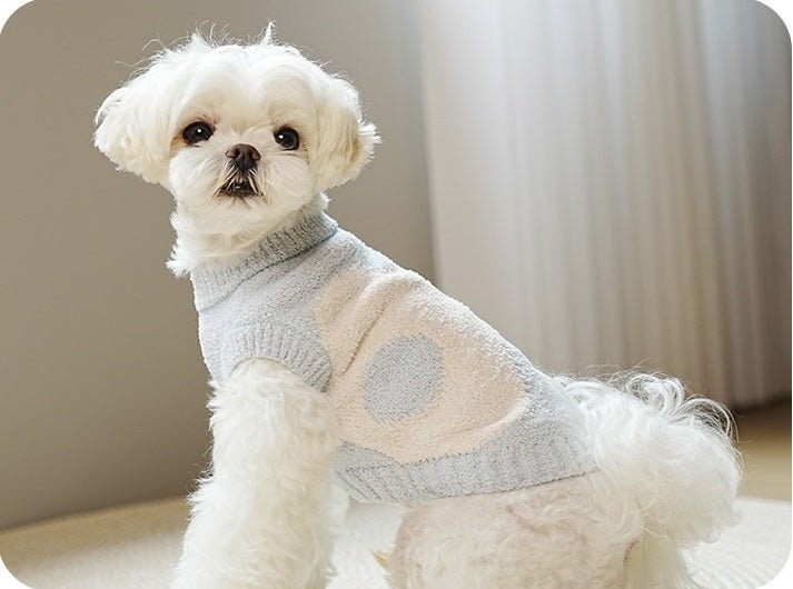 Blue fleece dog sweater with ruffled collar on a small dog