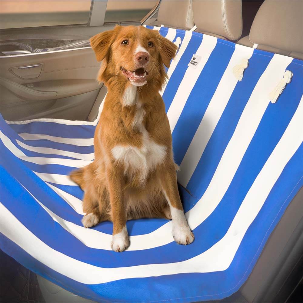 Wander Dog Car Seat Cover & Picnic Blanket