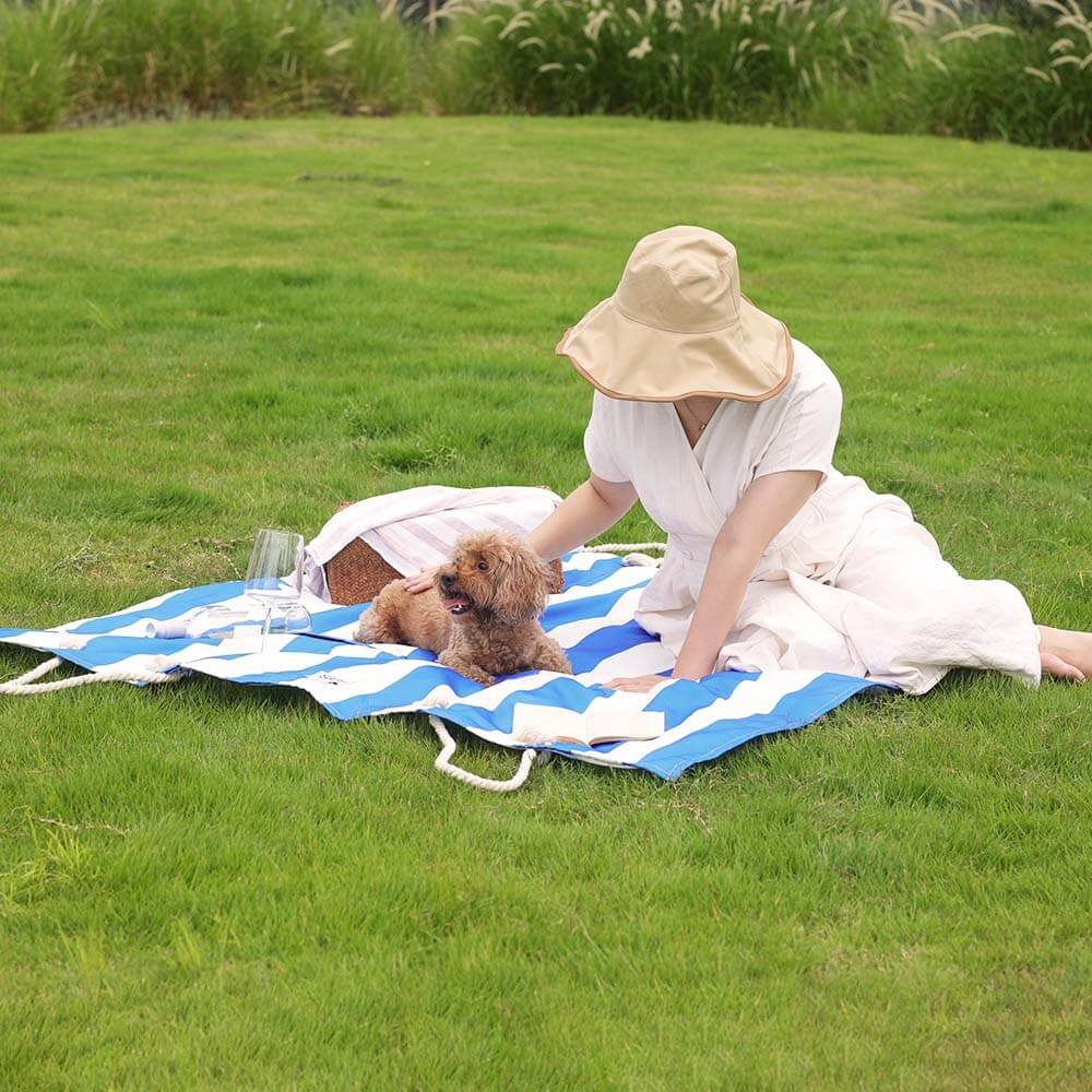 Wander Santorini blue-stripe picnic blanket with a dog and owner