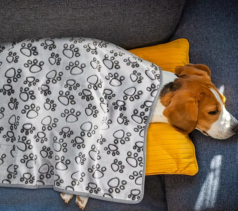 Beagle resting on the Cuddle gray paw-print dog blanket