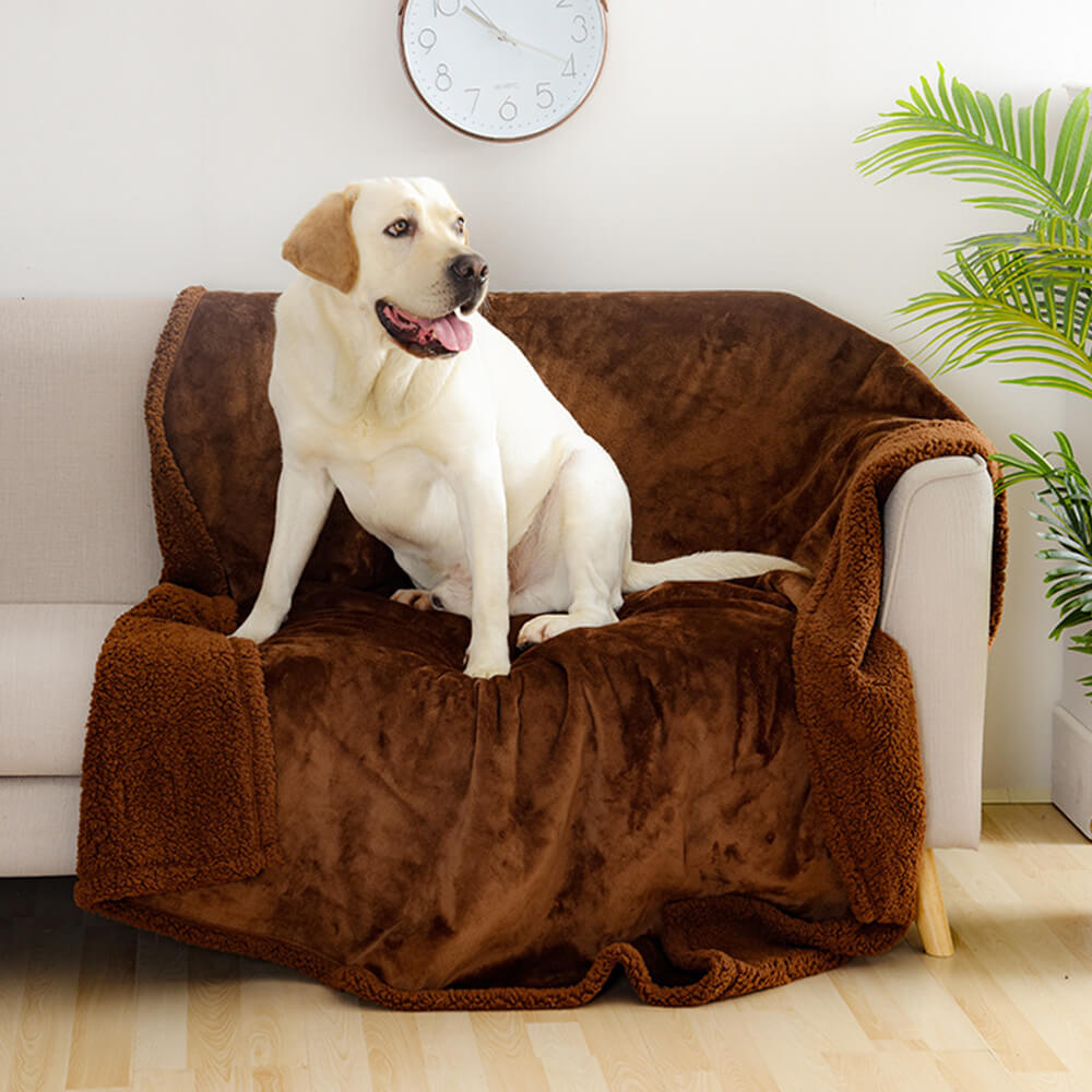 Labrador on the coffee Cabin sherpa dog blanket
