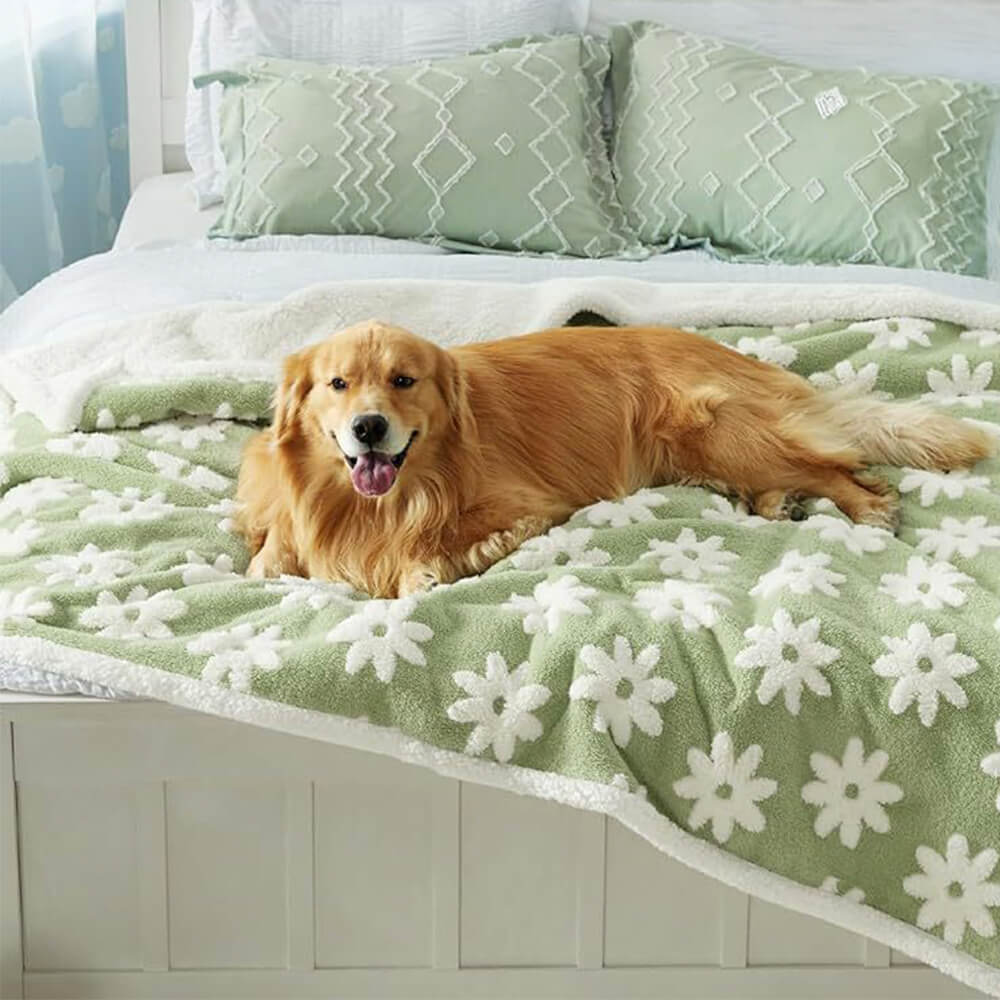Nimbus Waterproof Sherpa Dog Blanket – Green Flowers print