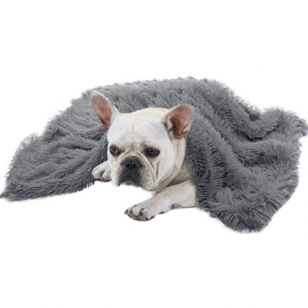French Bulldog on a dark gray faux-fur dog blanket